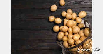 Nieuwe pootgoedregelgeving Europees Parlement baart aardappelsector zorgen