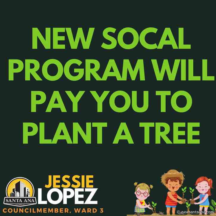 Santa Ana residents can get a rebate for planting new trees or replacing their grass lawns