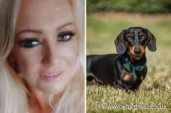Sausage dog ruins mums life after mauling her in attack