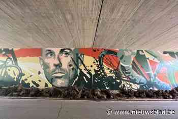 Veldrijder Sven Nys geëerd op muurschildering in tunnel