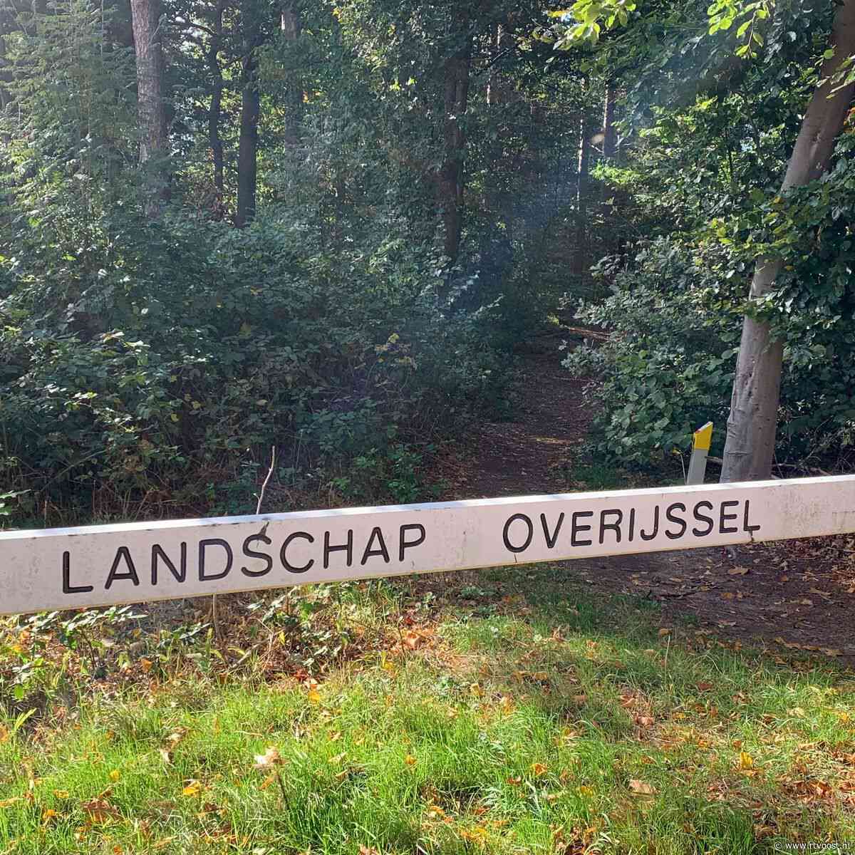 Landschap Overijssel stoort zich aan dumpen van tuinafval in de natuur