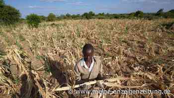 Dürre im Süden Afrikas bedroht 24 Millionen Menschen