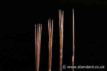 Four Aboriginal spears repatriated to Australia after more than 250 years
