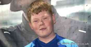 Alfie Lewis: Boy 'saw pal swing knife' at fatal stabbing victim outside school