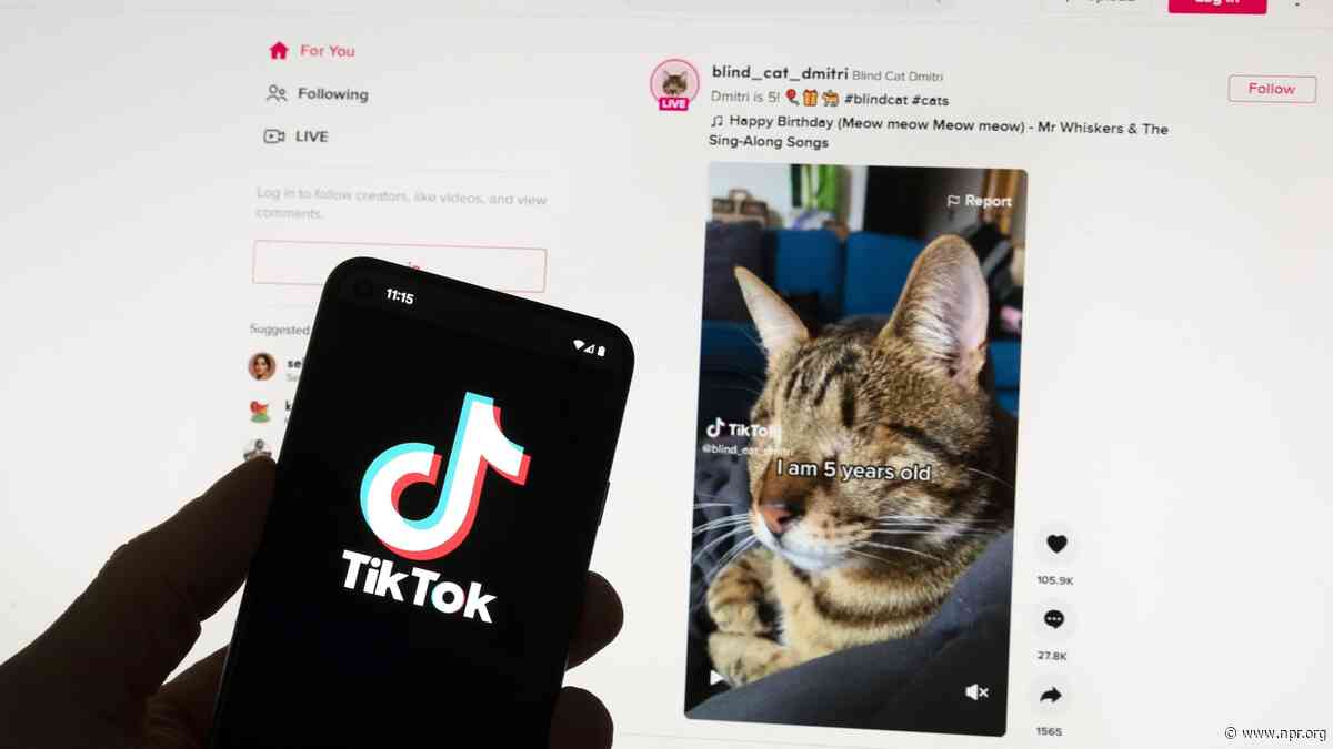 U.S. House Passes TikTok Sell-Or-Be-Banned Rule — In Way That May Force Senate To Pass It
