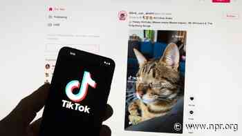 U.S. House Passes TikTok Sell-Or-Be-Banned Rule — In Way That May Force Senate To Pass It
