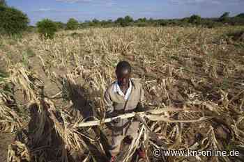 Vereinte Nationen: 24 Millionen Menschen von Dürre im Süden Afrikas betroffen