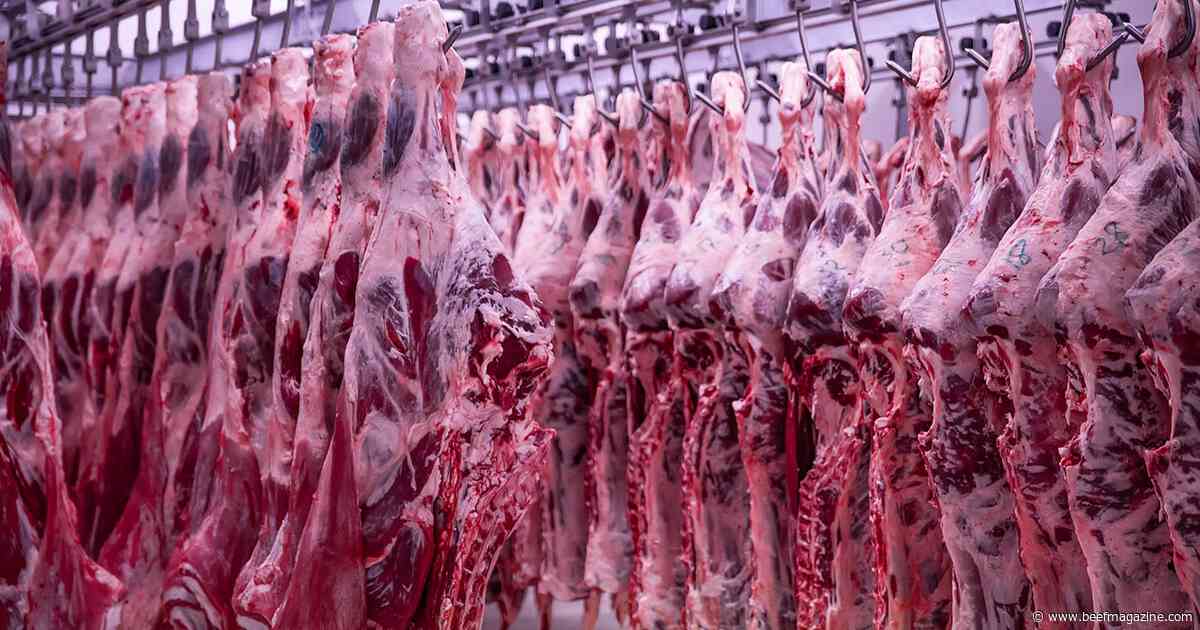 Silver lining to tight beef supplies: Demand for underutilized cuts