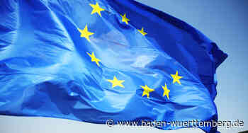34 Parteien und politische Vereinigungen zur Europawahl zugelassen