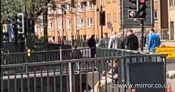 Sunbathers hanging over busy motorway bridge slammed for 'putting lives at risk'