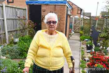 Nan, 88, found 'wringing wet' in garden 'insulted' by housing association's gesture