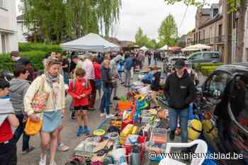 Rommelmarkt strijkt neer rondom Gaston Martensplein voor 49ste editie