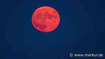 „Pink moon“ im April 2024: Woher der Name des Vollmonds stammt