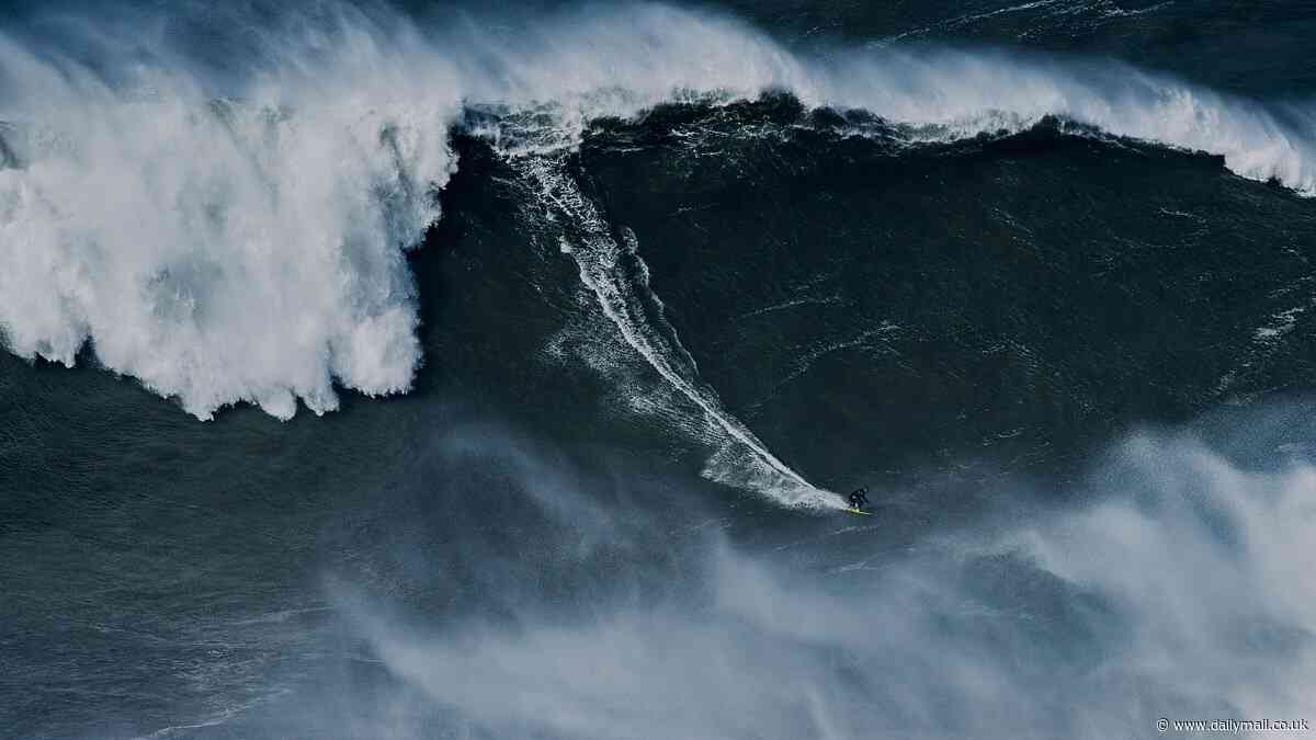 Surf's up… and up and up: German surfer Sebastian Steudtner claims world record after riding 'unsurfable' 93.7ft wave in Portugal