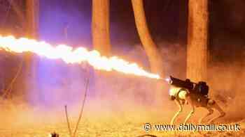 Meet the Thermonator: First ever flamethrowing robot dog that shoots jets of fire up to 30 feet hits US market