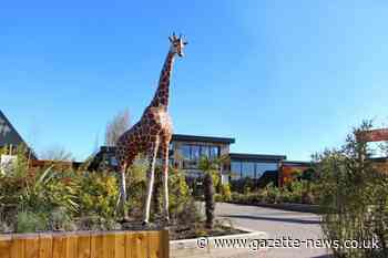 Colchester Zoo in top 5 best zoos and aquariums in England