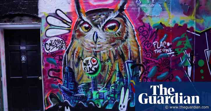 ‘We all connected over Flaco’: artists turn beloved animals into symbols of their US cities