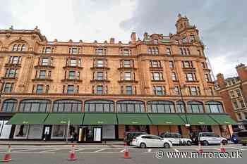 Girl, 9, 'snatched' from outside Harrods department store