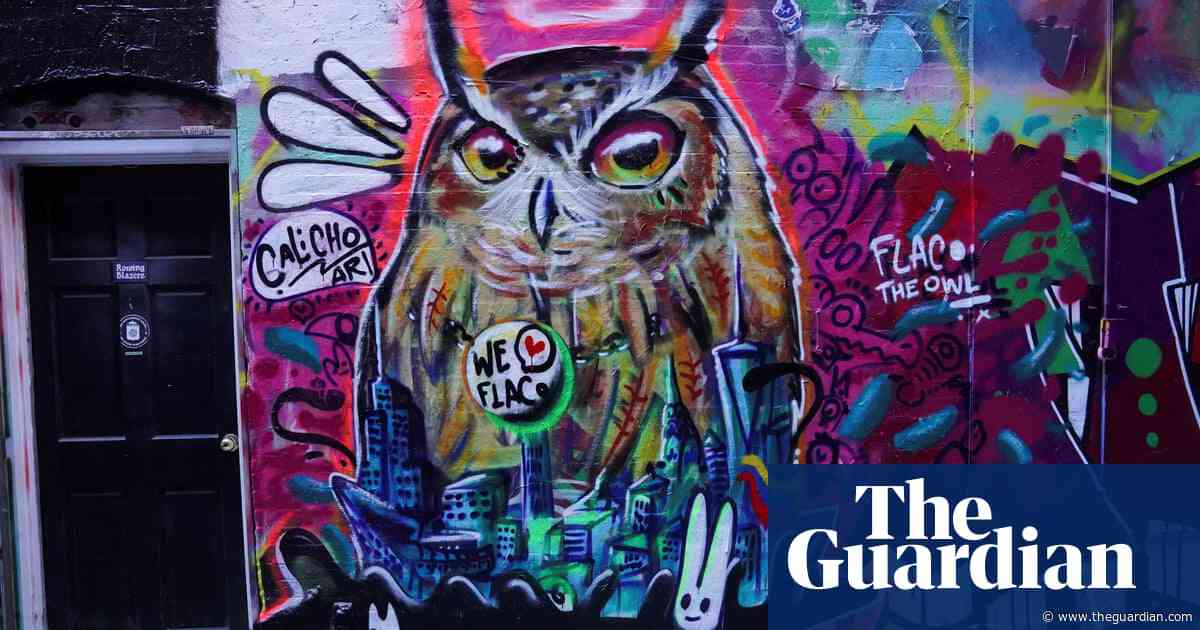 ‘We all connected over Flaco’: artists turn beloved animals into symbols of their US cities