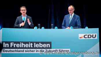 12-Punkte-Plan spaltet die Ampel – CDU versucht, FDP zu umwerben