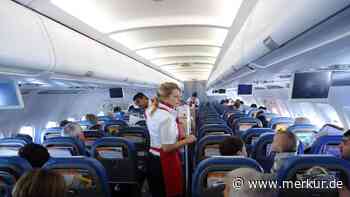 Airline-Crew schockiert: Touristen saufen „25 Minuten nach dem Abflug“ komplettes Flugzeug leer