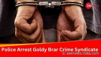 Delhi Police Arrest Sharpshooter Of Lawrence Bishnoi-Goldy Brar Crime Syndicate