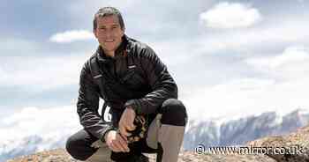Bear Grylls' bitter feud with fellow iconic TV survivalist - from 'crazy' jibes to 'silly catfight'