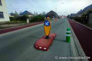 Opvallende wegversmalling in vorm van uiltjes moet snelheidsduivels afremmen in Achelse Haag