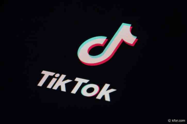 When could the proposed TikTok ban take effect?