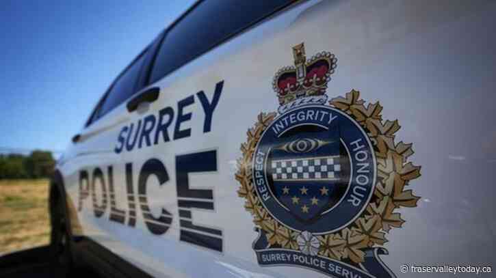 B.C. government sets November date for Surrey police transition