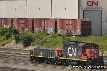 CN Rail profits fall alongside container shipment revenue