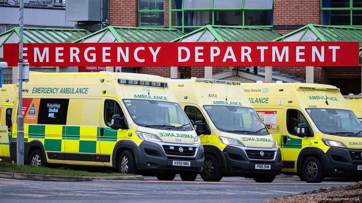 National Hell Service: NHS ambulance crews are missing key response time targets for heart attack and stroke patients in all but ONE area of England
