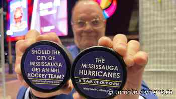 'Mississauga Hurricanes': Mayoral candidate wants to bring NHL team to the city