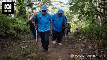 Albanese and PNG PM walk, talk and catch a breath together, as they climb Kokoda Track