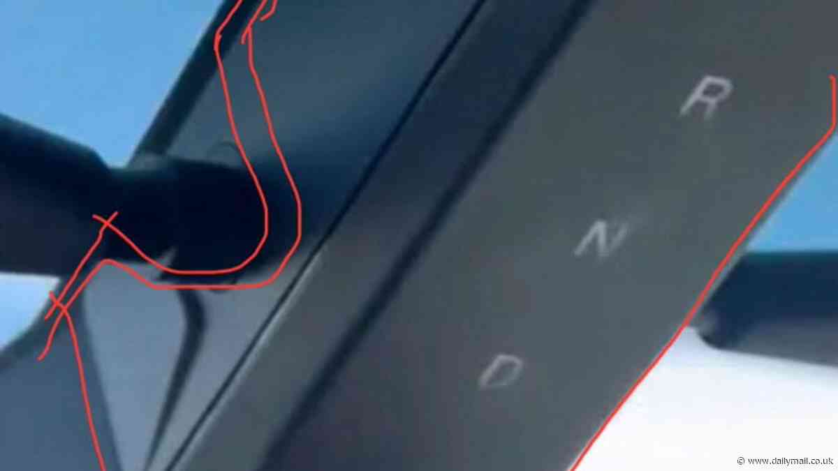 Cybertrash? Owner claims to have found MORE flaws with new EV - days after Tesla recalled 4,000 for issue with the accelerator pedal