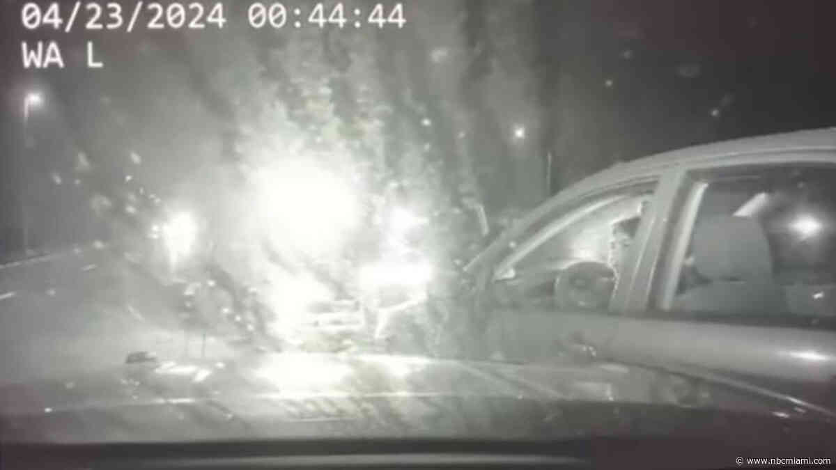 Dashcam video shows troopers stopping wrong-way driver on Florida highway