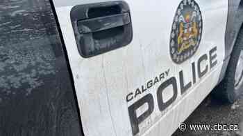 Suspicious death in northeast Calgary deemed a homicide, say police