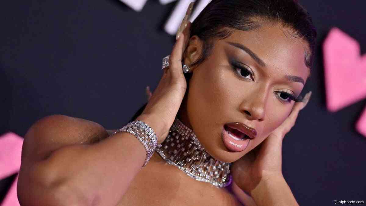 Megan Thee Stallion's Lawyer Claims New Harassment Allegations Are 'Salacious'