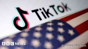 US Senate approves potential TikTok ban