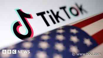 US Senate passes bill that could see TikTok banned