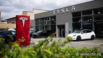 Tesla promises smaller, cheaper models as Q1 net income drops 55%