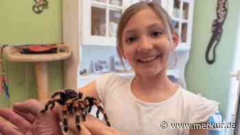 „Ich hab keine Angst“: Zehnjährige ist von Vogelspinnen begeistert