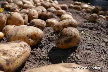 Doorbraak CRISPR-Cas aardappelen blijft uit