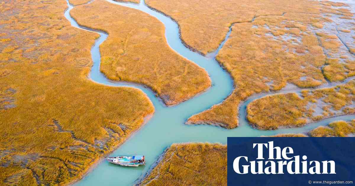 Estuaries, the ‘nurseries of the sea’, are disappearing fast