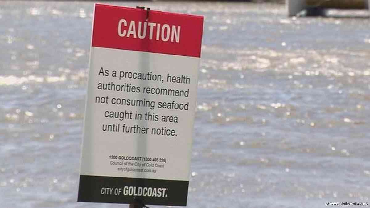 Gold Coast: Urgent warnings after 'catastrophic' leak pumped 350million litres of sewage into Albert River