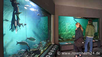 14 Jahre nach der Eröffnung: Das Aquadome in Bad Wiessee wird geschlossen