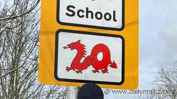 Dragon-themed 20mph signs outside Welsh schools are branded 'dangerous' by furious families who say the designs 'make road safety worse rather than better'