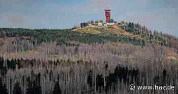 Nationalpark Harz: Vorbereitungen zum vorbeugenden Waldbrandschutz abgeschlossen