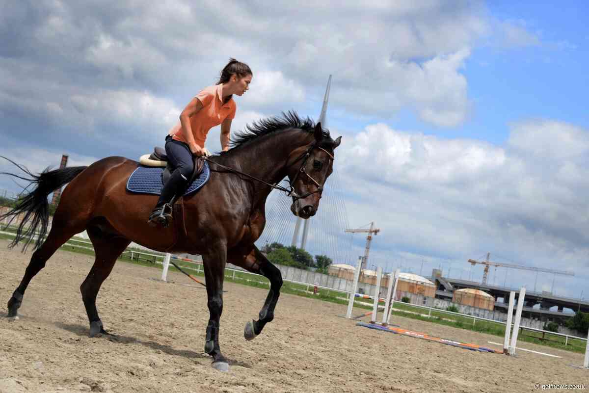 Five Things to Consider Before Building a Riding Arena