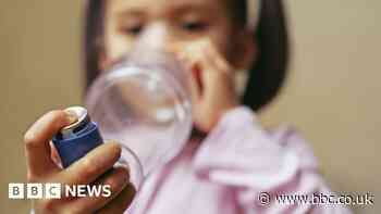 Action needed on needless asthma deaths, says charity